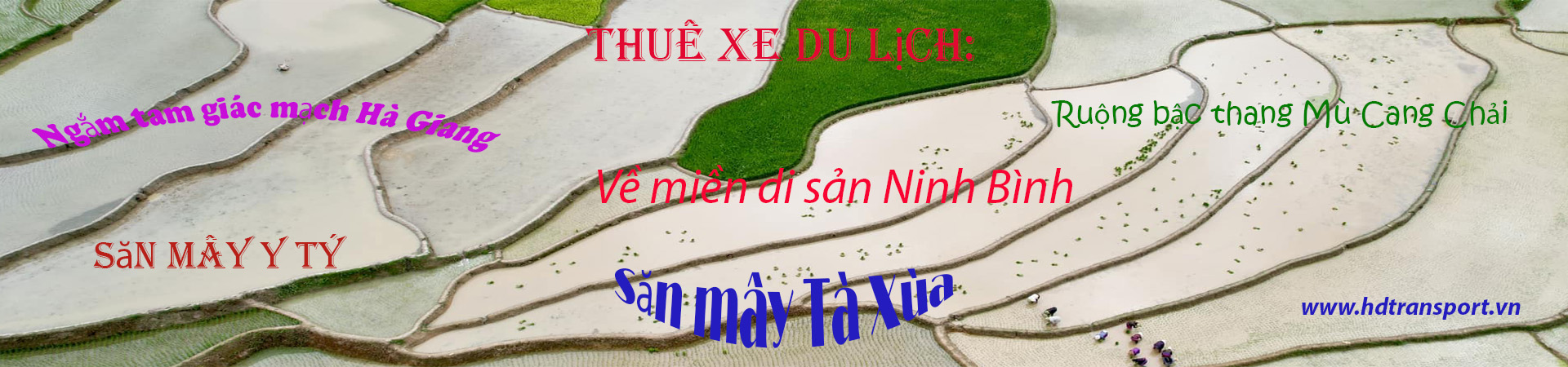 Cho thuê xe du lịch